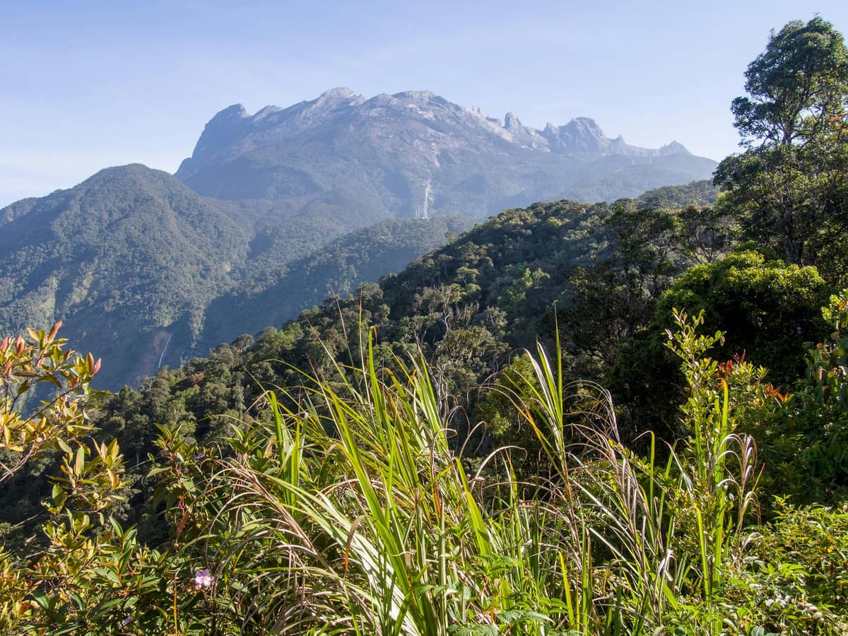 Spring Season (March to May)